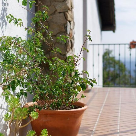 Casas Arbillas 아레나스 데 산 페드로 외부 사진
