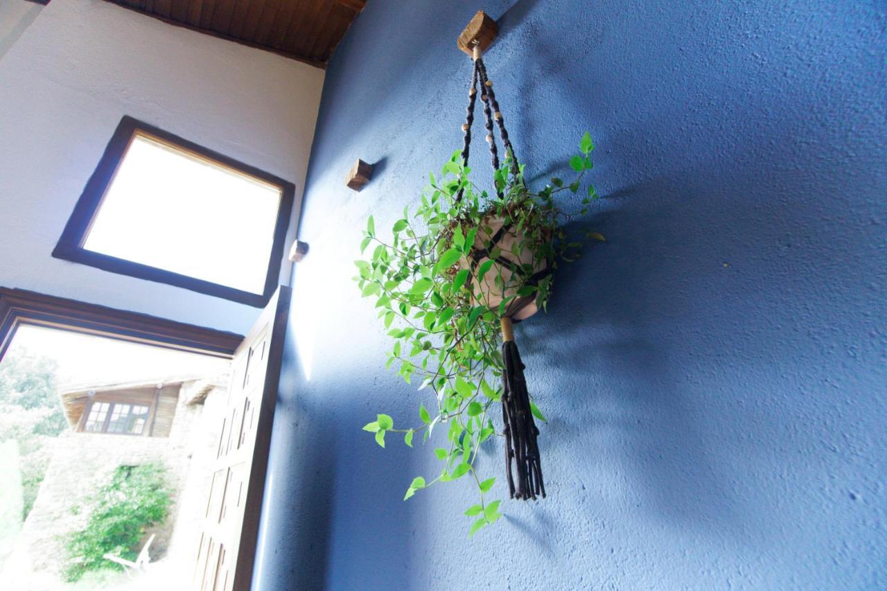 Casas Arbillas 아레나스 데 산 페드로 외부 사진