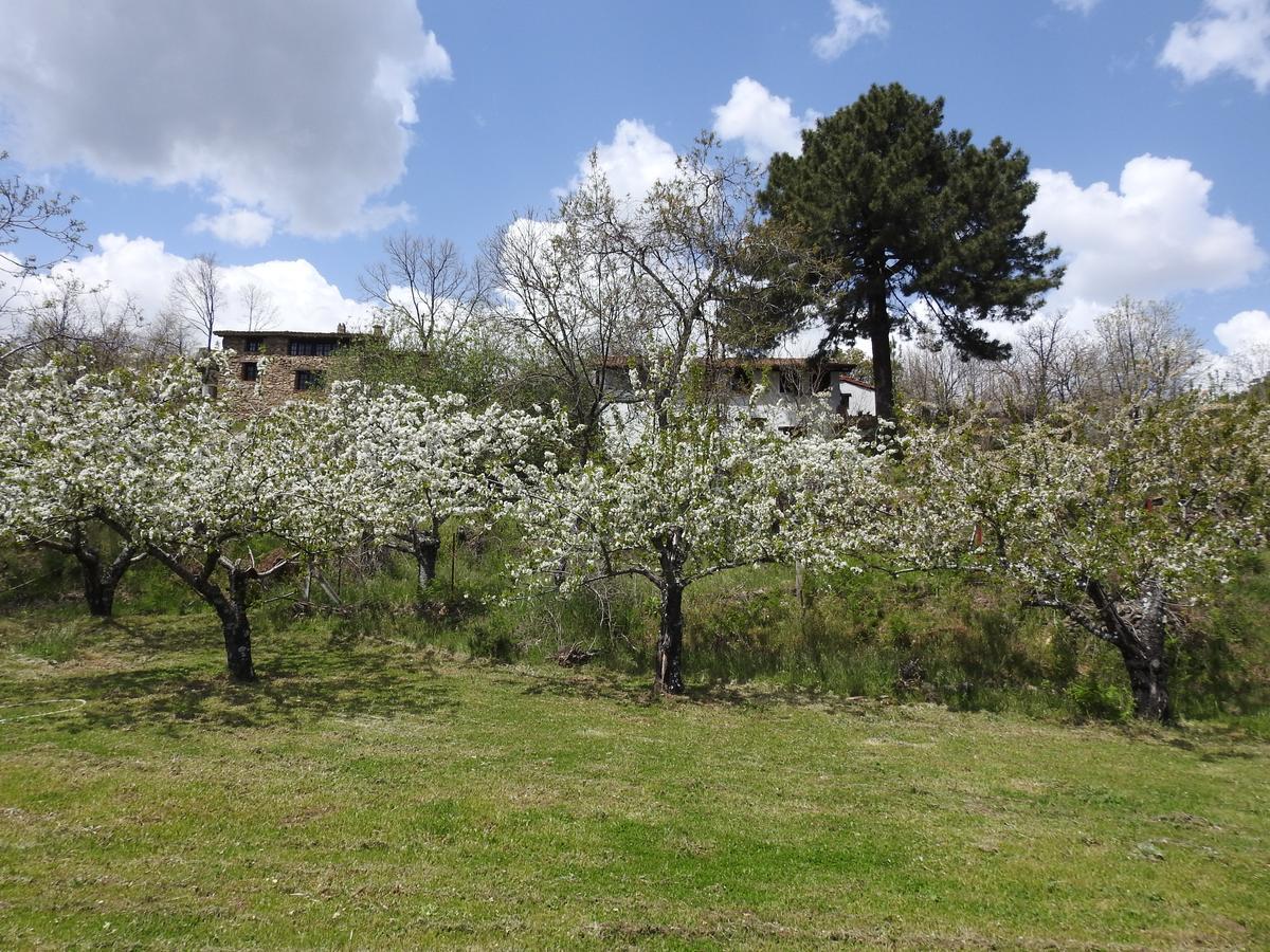 Casas Arbillas 아레나스 데 산 페드로 외부 사진